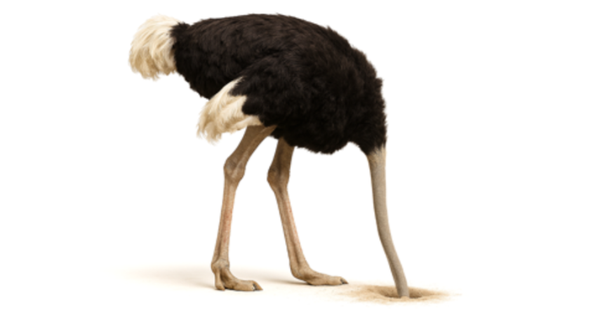 Discover Your Money Personality: Smart Tips for Financial Wellness That Fit Your Style